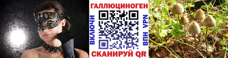 Псилоцибиновые грибы прущие грибы  Данков 